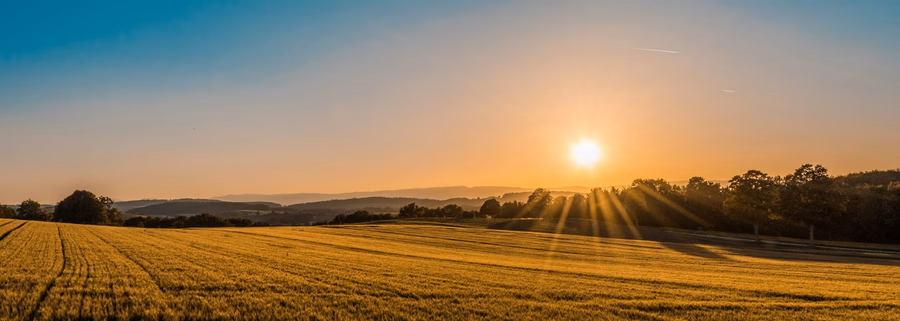 Vue aérienne de terrains à bâtir dans les Landes (40)