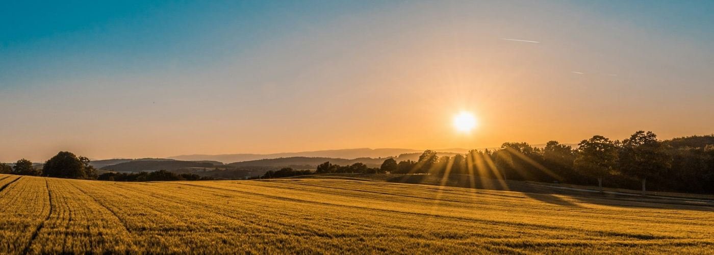 Vue aérienne de terrains à bâtir dans les Landes (40)